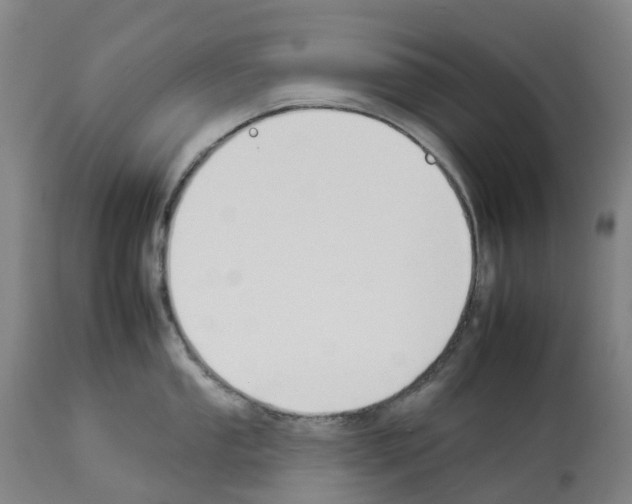 X0000112931053200910051127