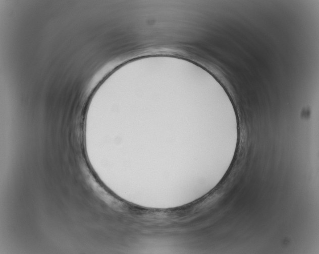 X0000112931054200910051127