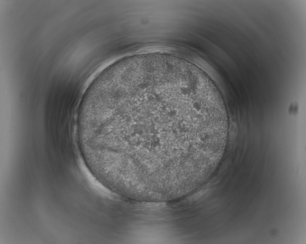 X0000112931055200910051127