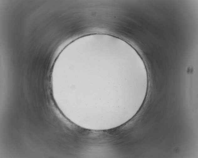 X0000112931056200910051127