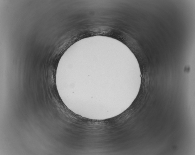 X0000112931058200910051126