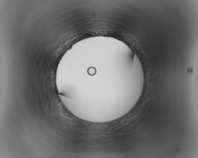 X0000112931060200910051126