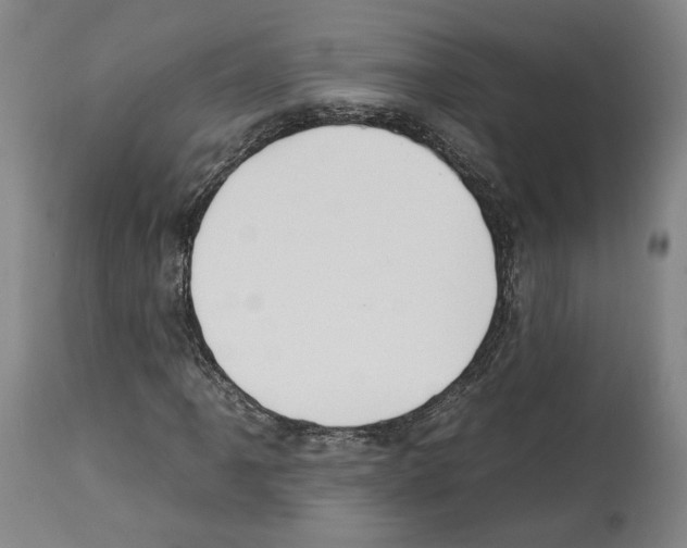 X0000112931061200910051126