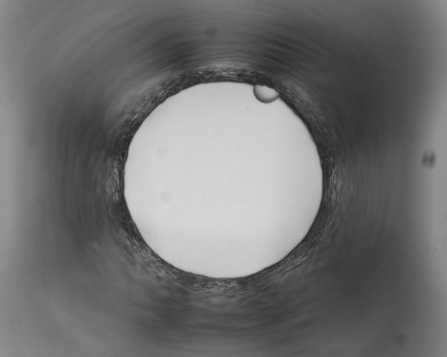 X0000112931062200910051126