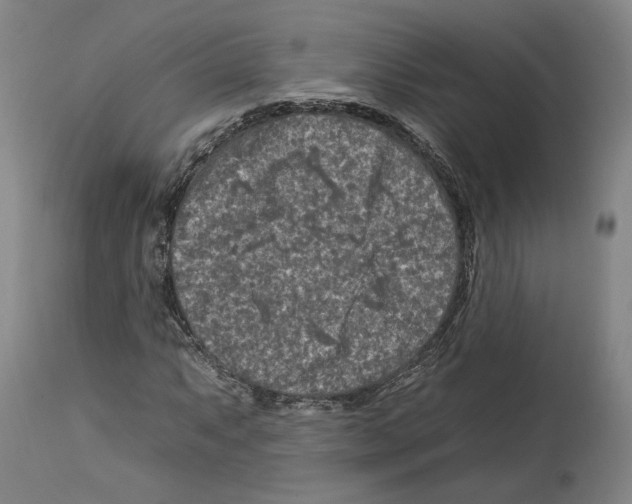 X0000112931063200910051126