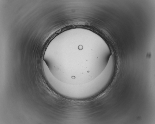 X0000112931065200910051126