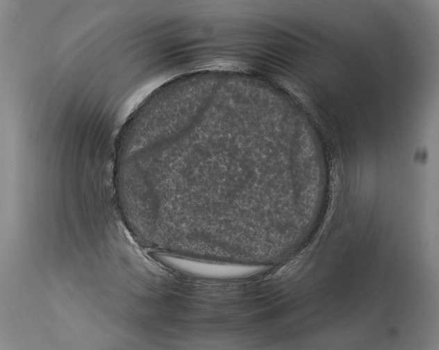 X0000112931066200910051126