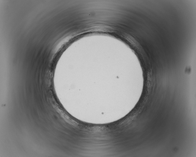 X0000112931067200910051126