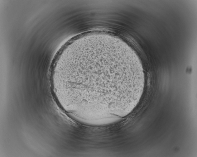 X0000112931068200910051126