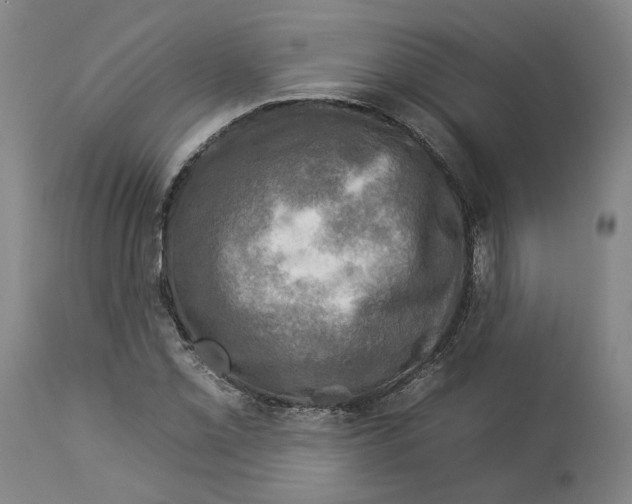 X0000112931069200910051126