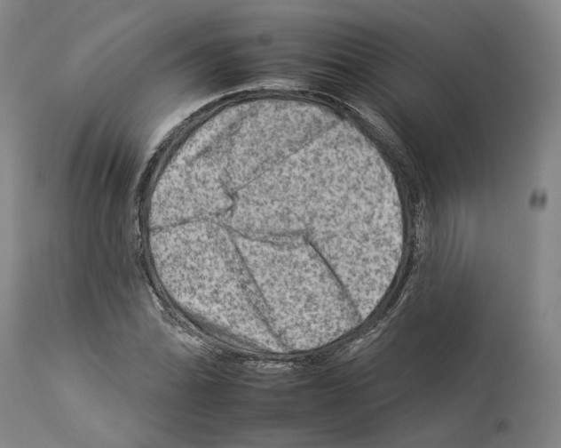 X0000112931070200910051126