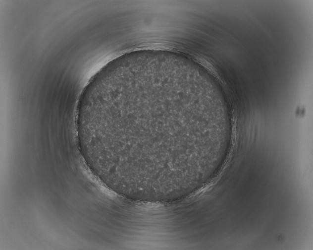 X0000112931071200910051126