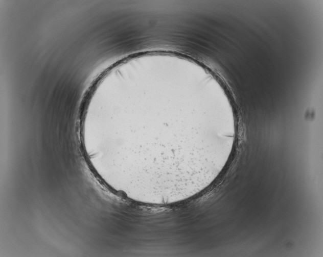 X0000112931072200910051126