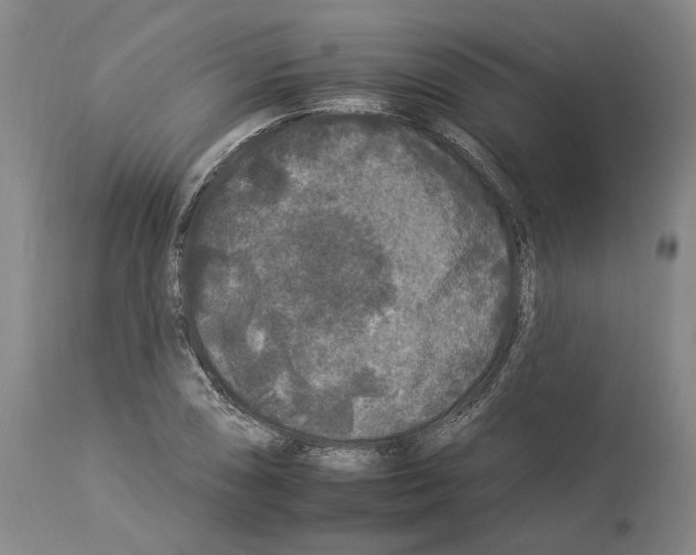 X0000112931074200910051126