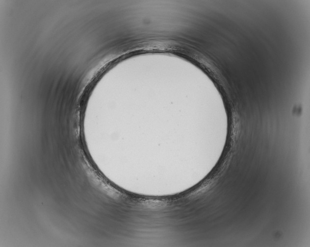 X0000112931075200910051126