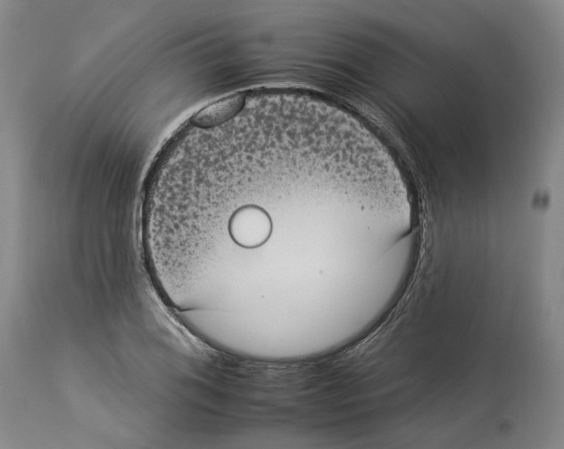 X0000112931076200910051126