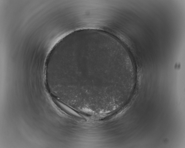 X0000112931077200910051126