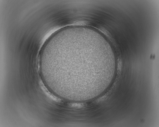 X0000112931078200910051126