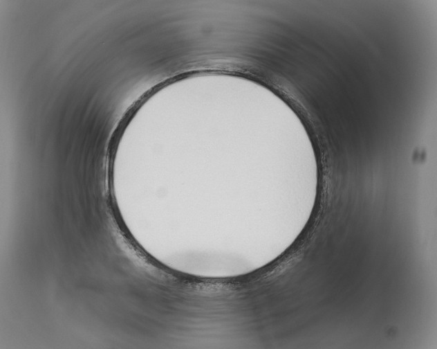 X0000112931079200910051126