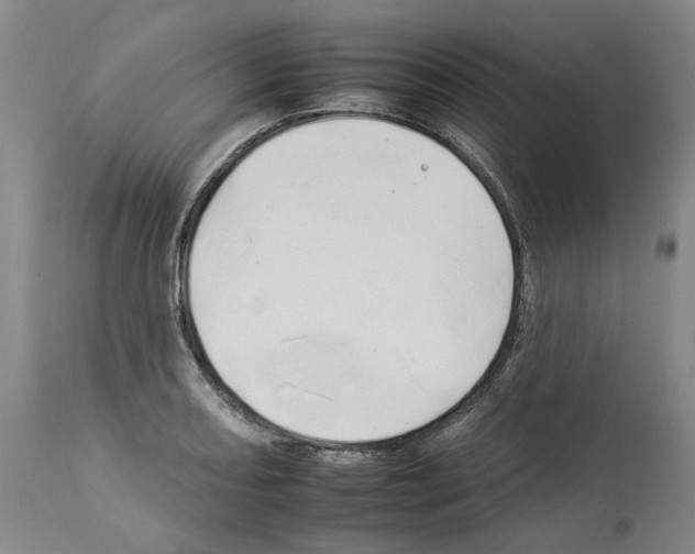 X0000112931082200910051126