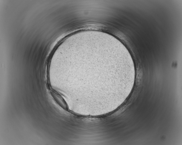 X0000112931083200910051126