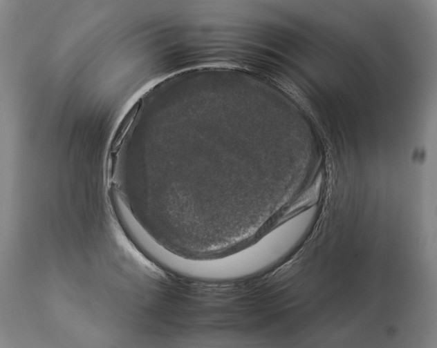 X0000112931084200910051126