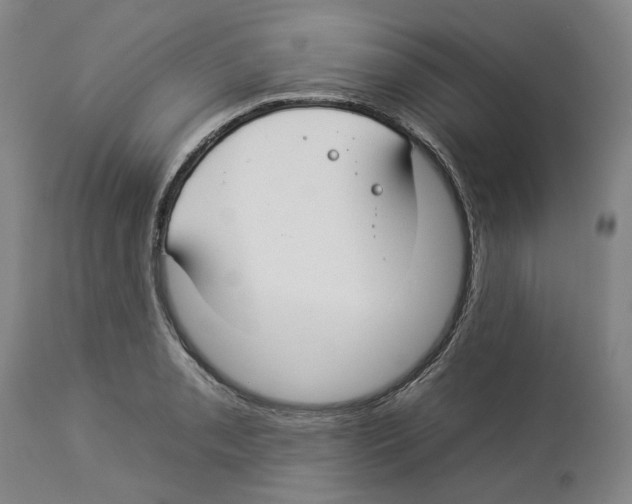 X0000112931085200910051126