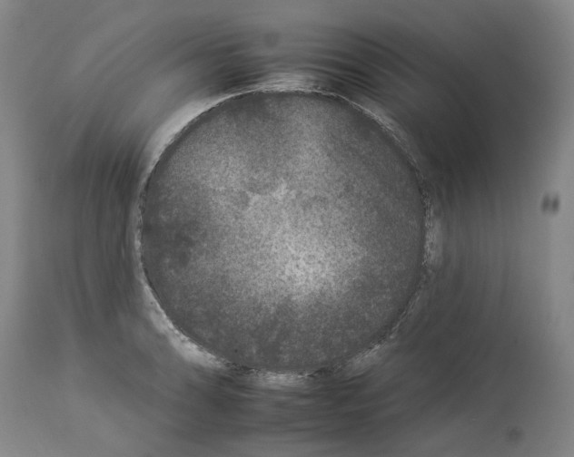 X0000112931086200910051126
