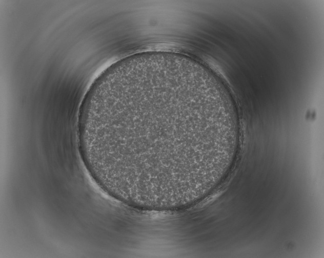 X0000112931087200910051126
