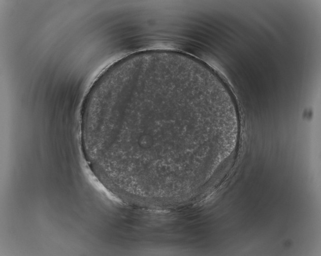 X0000112931088200910051126