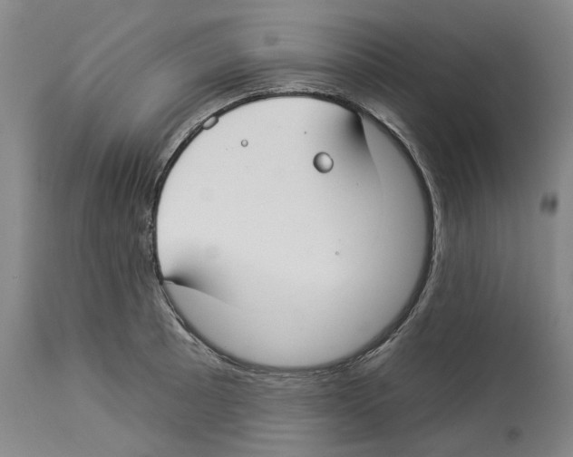 X0000112931089200910051126