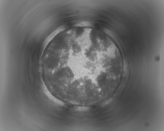 X0000112931090200910051126
