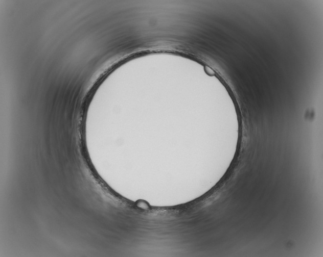X0000112931093200910051126