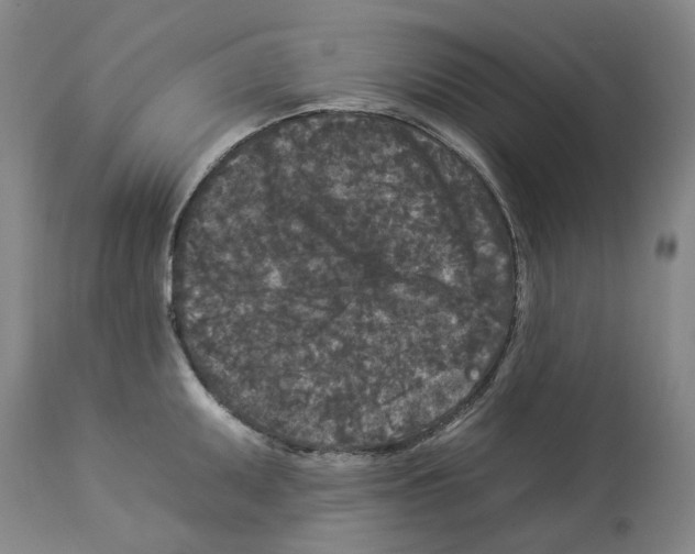 X0000112931095200910051126