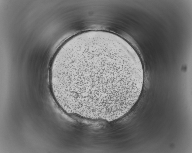 X0000112931096200910051126