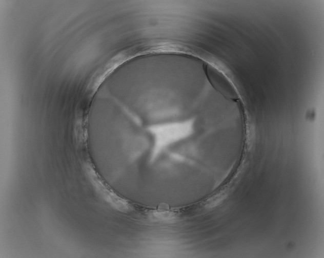 X0000112931097200910051126