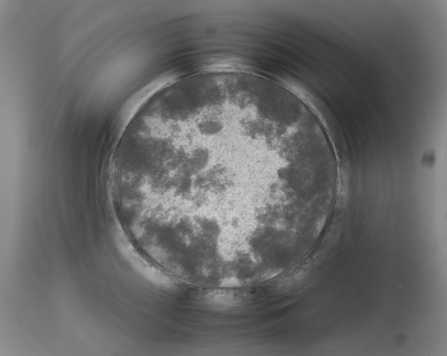 X0000112931098200910051126