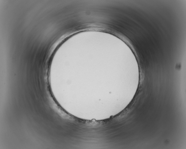 X0000112931099200910051125