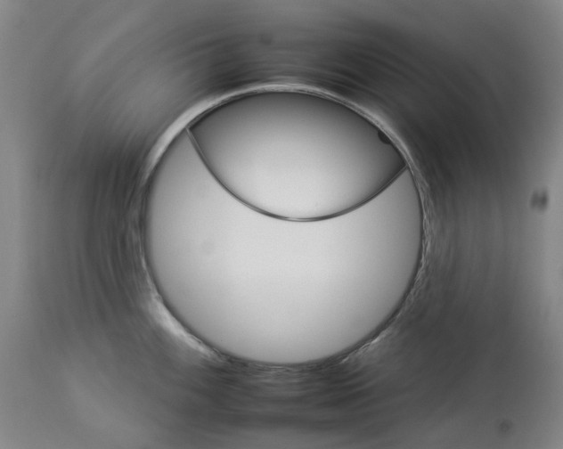 X0000112931100200910051125