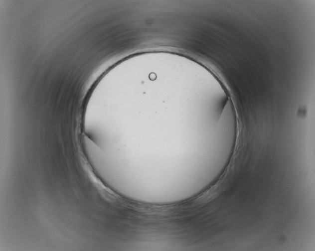 X0000112931101200910051125