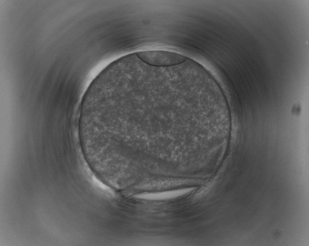 X0000112931102200910051125