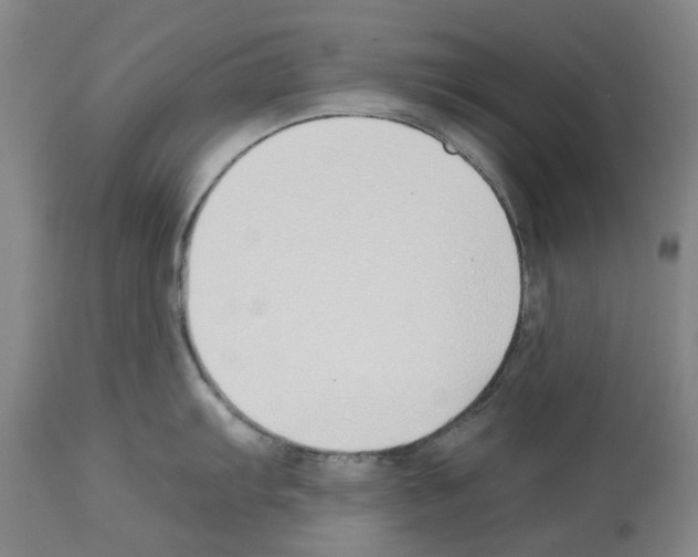 X0000112931103200910051125