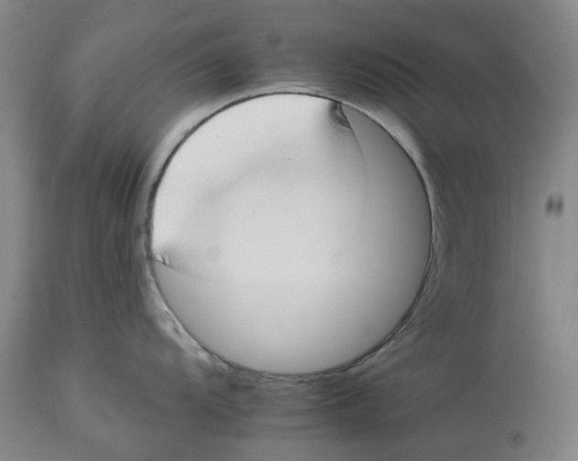 X0000112931104200910051125