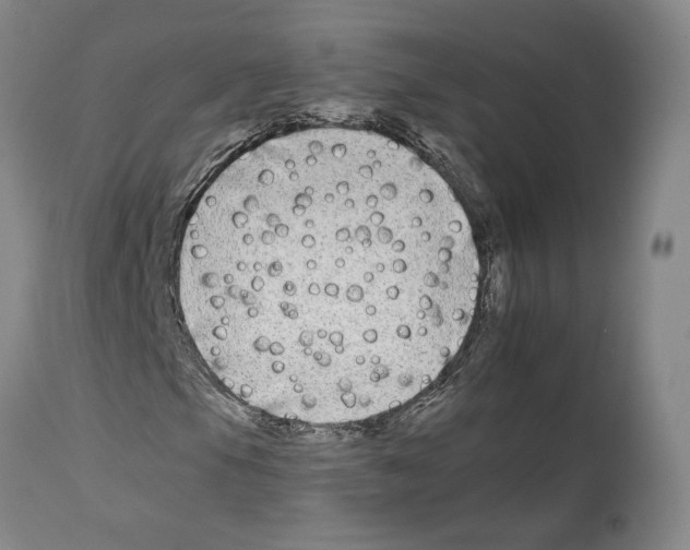 X0000112931105200910051125