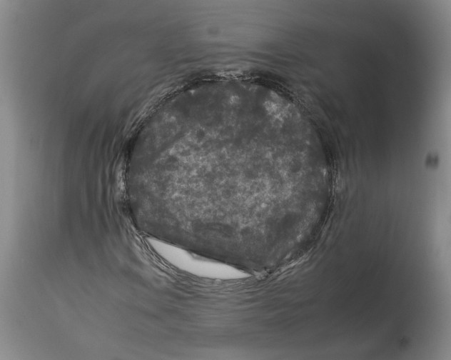 X0000112931106200910051125