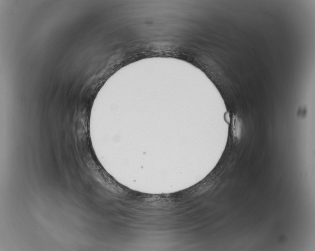 X0000112931107200910051125