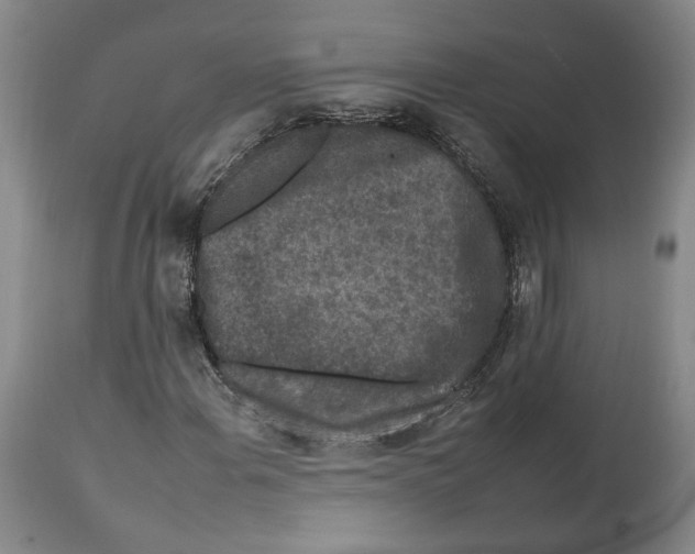 X0000112931108200910051125