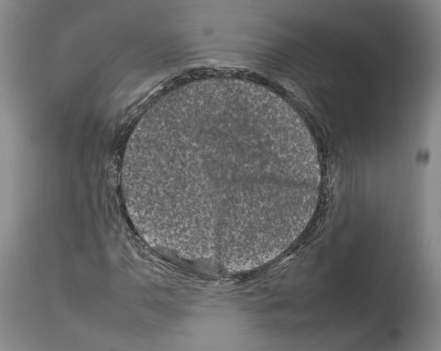 X0000112931110200910051125