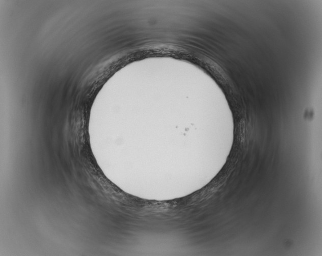X0000112931111200910051125