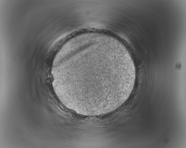 X0000112931112200910051125